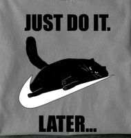 Cat Memes